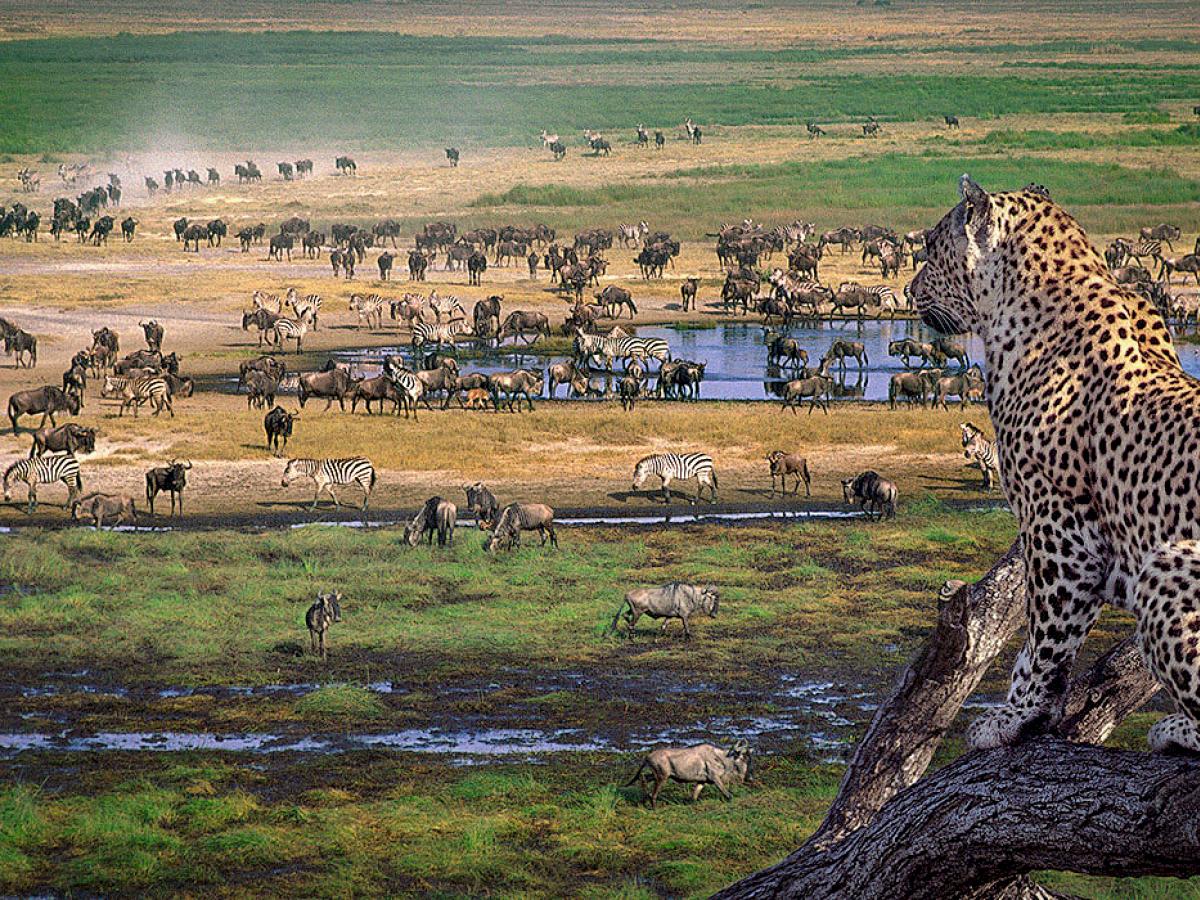 Karibu Tanzania 